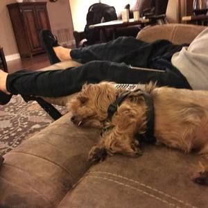 Meet your Posher, Dana